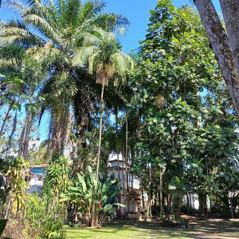 Villa Dos Passaros Paraty Hospedagem Exteriör bild